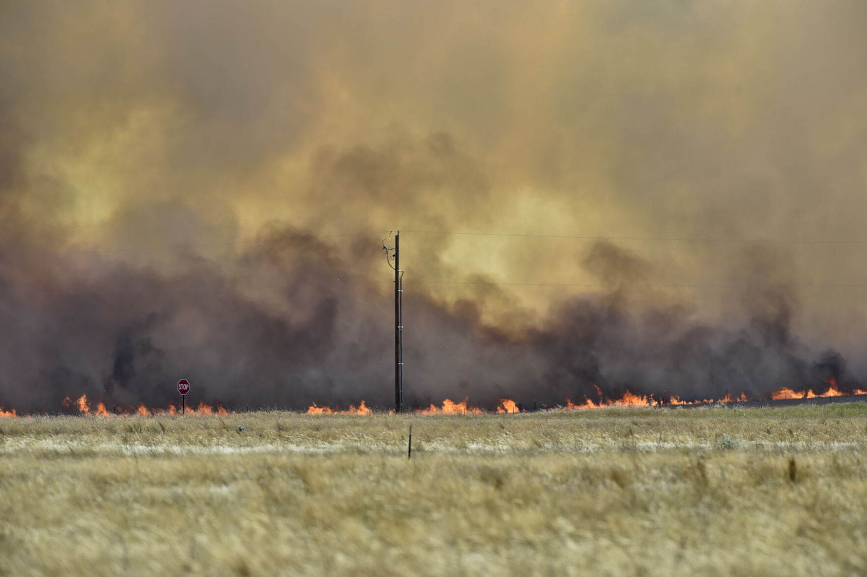 Birdseye Grass Fire